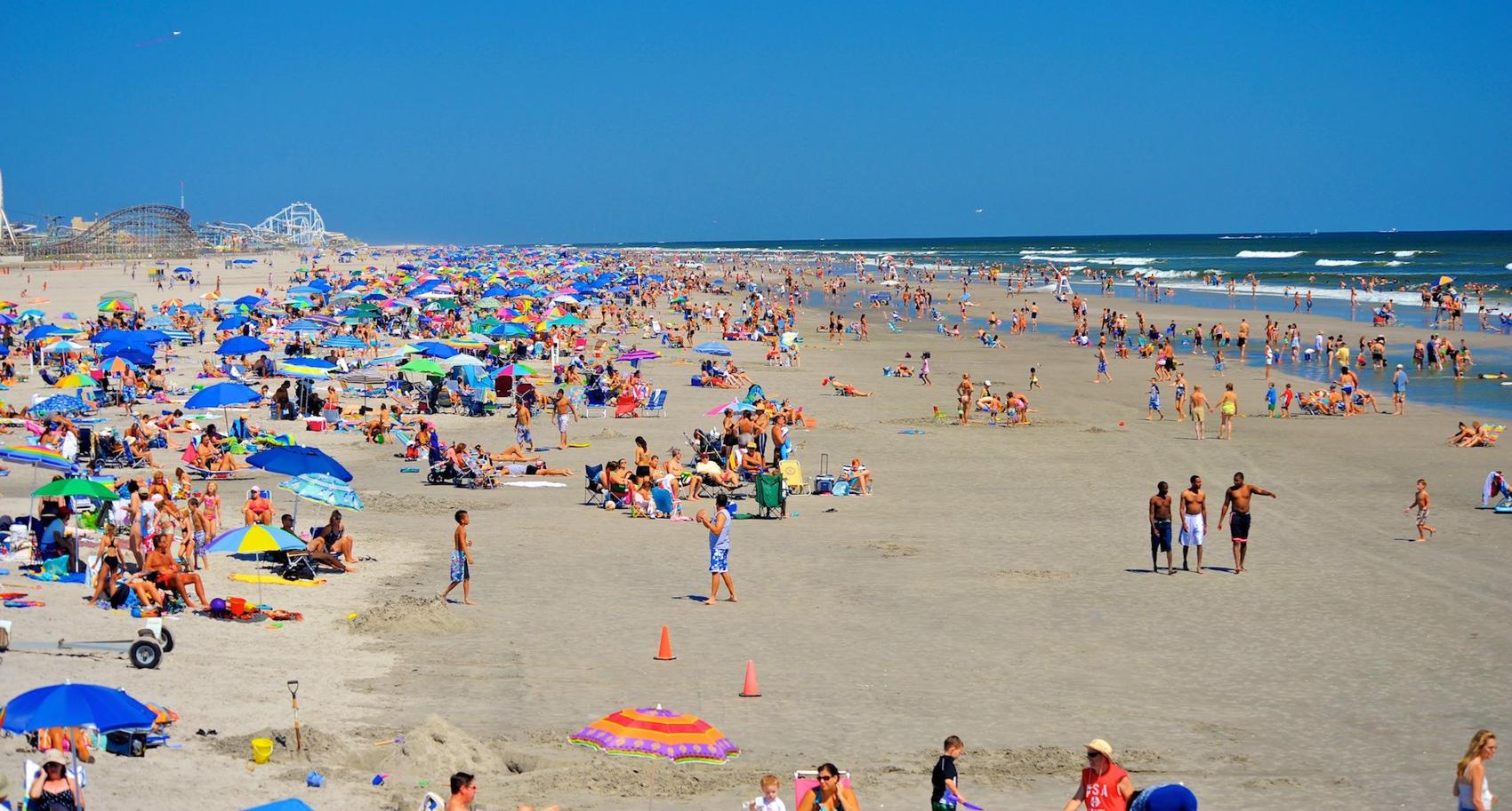 New Jersey Occupancy Tax Return on Collection